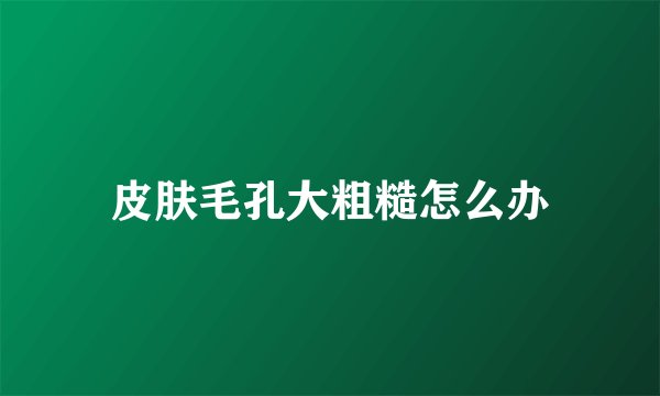 皮肤毛孔大粗糙怎么办