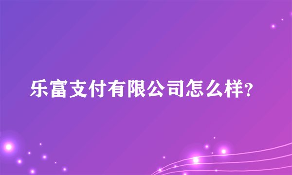 乐富支付有限公司怎么样？