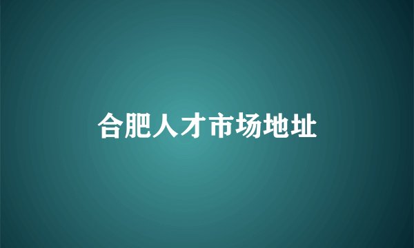 合肥人才市场地址
