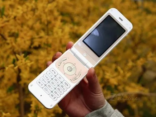 通过国外看自身 国内3G终端方面之差距