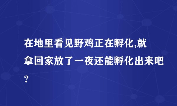 在地里看见野鸡正在孵化,就拿回家放了一夜还能孵化出来吧？