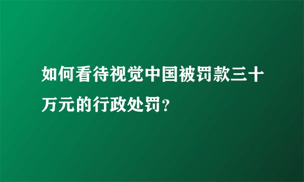如何看待视觉中国被罚款三十万元的行政处罚？
