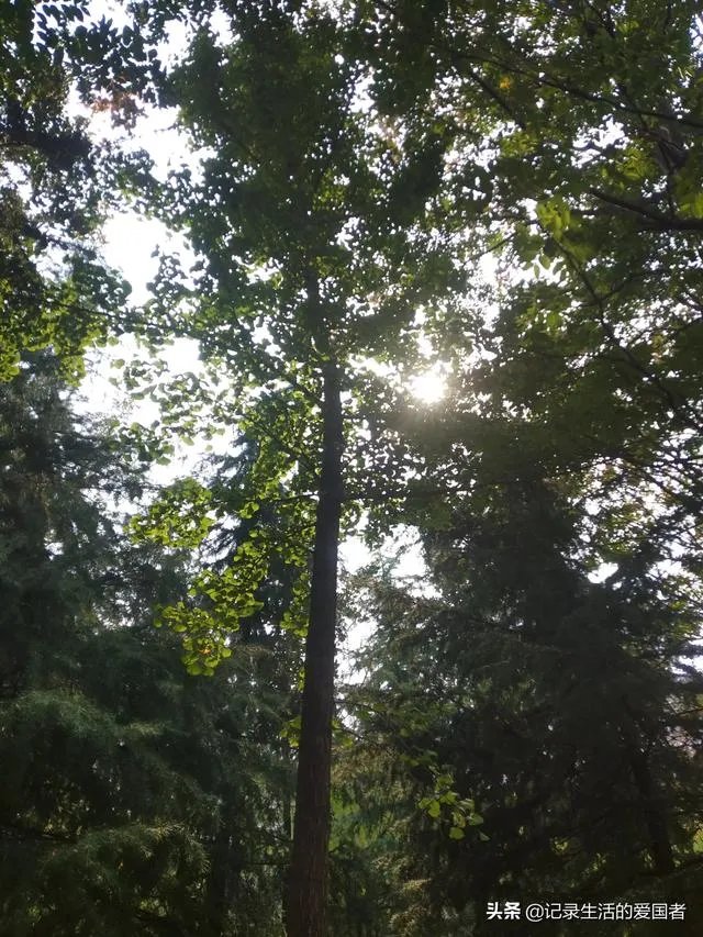 边旅行边赚钱的办法可行吗?