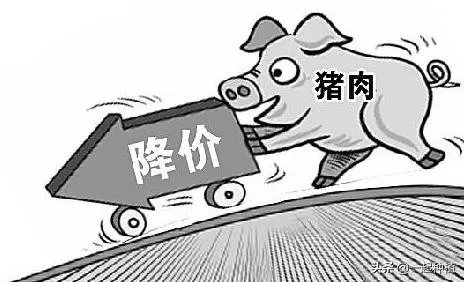 猪价全面暴跌！猪肉降入20元时代，10元猪肉还远吗？
