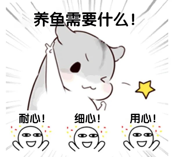 《萌鱼泡泡》萌鱼攻略（一）· 喂食篇