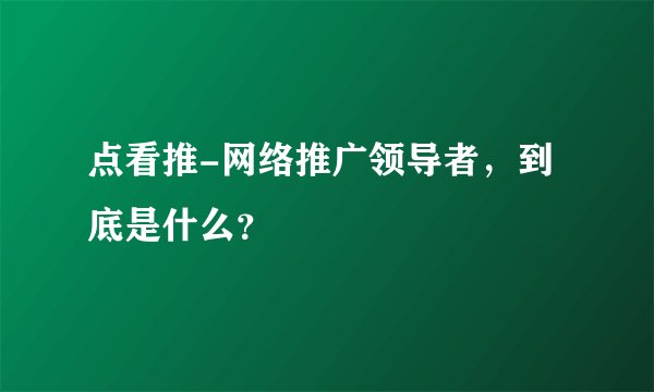 点看推-网络推广领导者，到底是什么？