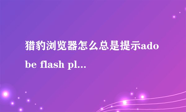 猎豹浏览器怎么总是提示adobe flash player因过期而遭到阻止？