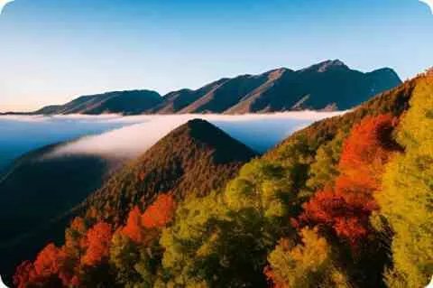 医师初级职称评定条件？