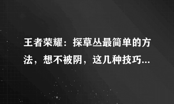 王者荣耀：探草丛最简单的方法，想不被阴，这几种技巧一定要知道