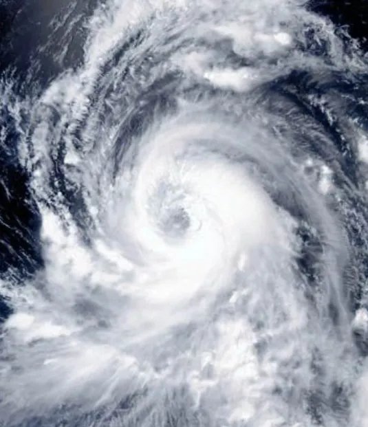 台风利奇马造成651万人受灾，面对台风如何保护自身安全？