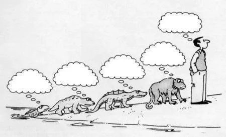 科学家证实，人类是从鱼类进化来的，进化过程大概是怎样的？