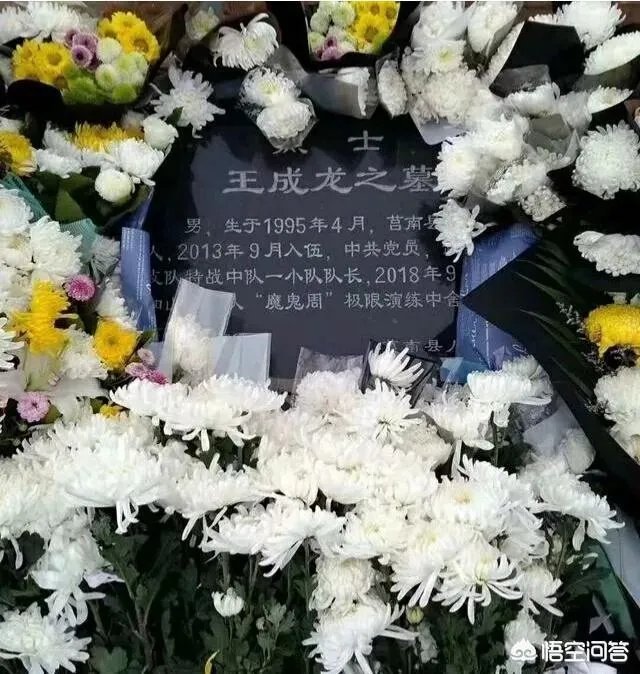 如何看待英雄烈士王成龙的事迹？