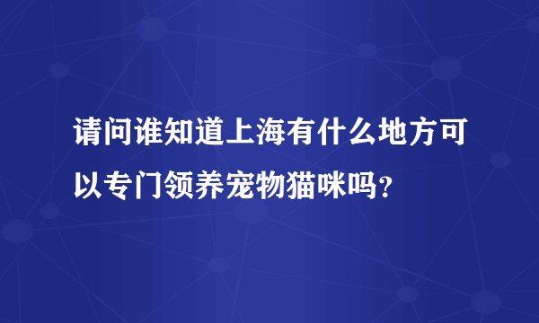 请问谁知道上海有什么地方可以专门领养宠物猫咪吗？