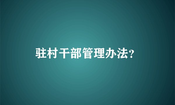 驻村干部管理办法？