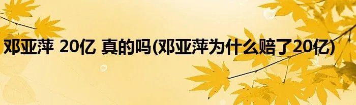 邓亚萍 20亿 真的吗(邓亚萍为什么赔了20亿)