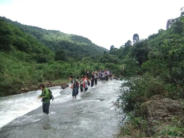 深圳驴友网的网站概况