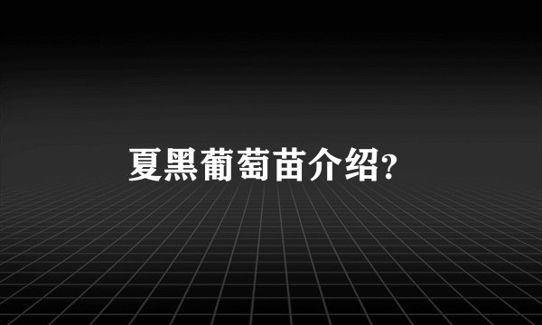 夏黑葡萄苗介绍？
