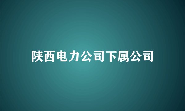陕西电力公司下属公司