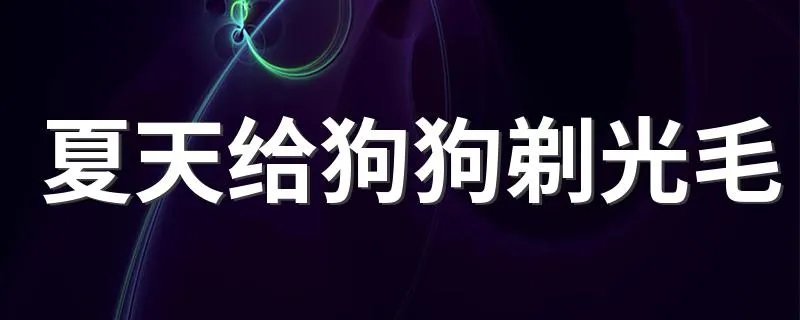 夏天给狗狗剃光毛 有助于让狗狗降温吗
