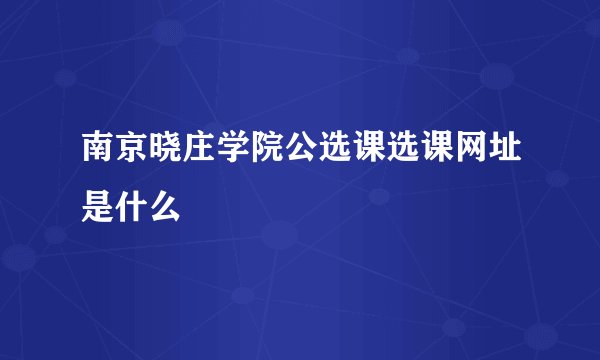 南京晓庄学院公选课选课网址是什么