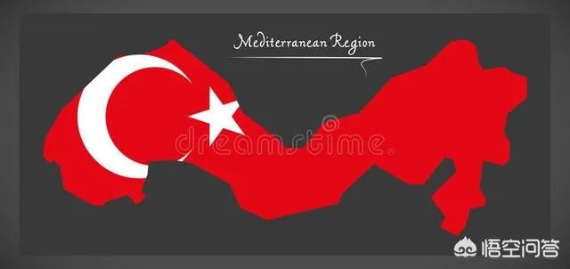 土耳其和伊朗哪个国家的军事实力更强一些？