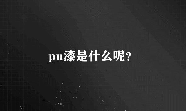pu漆是什么呢？