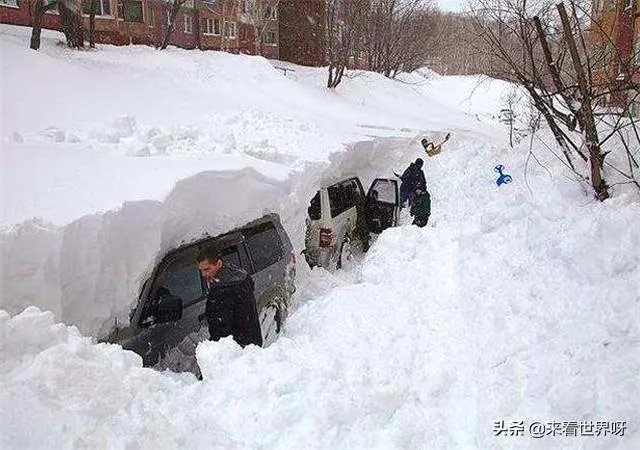 雪的密度很小，为什么雪崩会压死人？