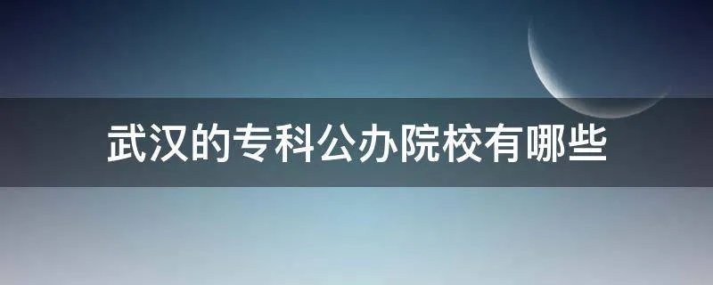 武汉的专科公办院校有哪些