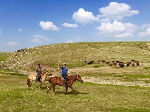蒙古国称捐赠的羊只想送给湖北，这么做的原因是什么？
