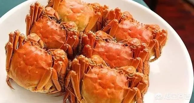 怎么挑选最鲜的海鲜？