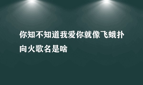 你知不知道我爱你就像飞蛾扑向火歌名是啥
