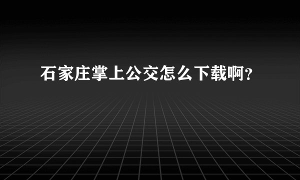 石家庄掌上公交怎么下载啊？