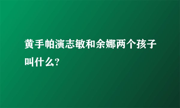 黄手帕演志敏和余娜两个孩子叫什么?