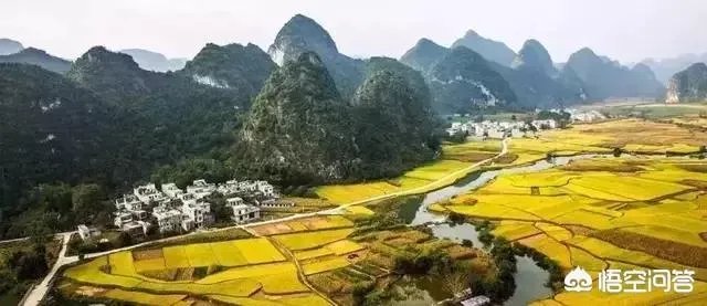 关于农业生产的俗语有哪些？