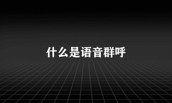 什么是语音群呼