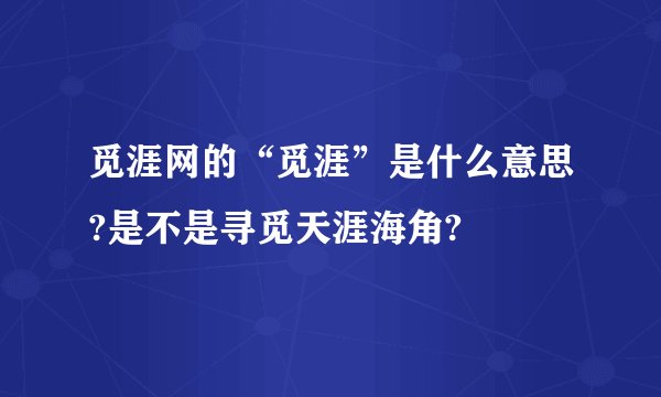 觅涯网的“觅涯”是什么意思?是不是寻觅天涯海角?