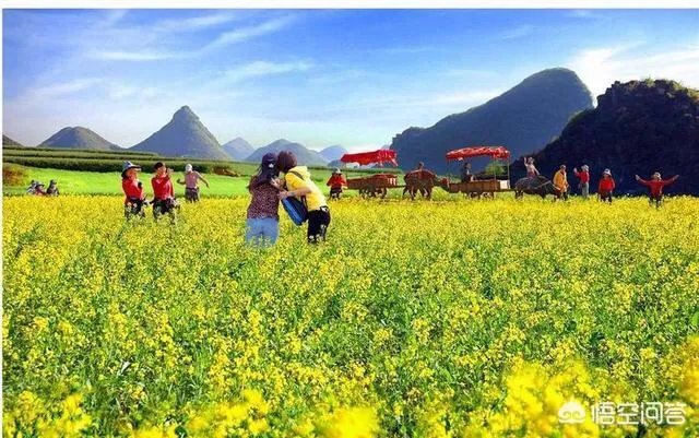 过年去云南旅游合适吗？