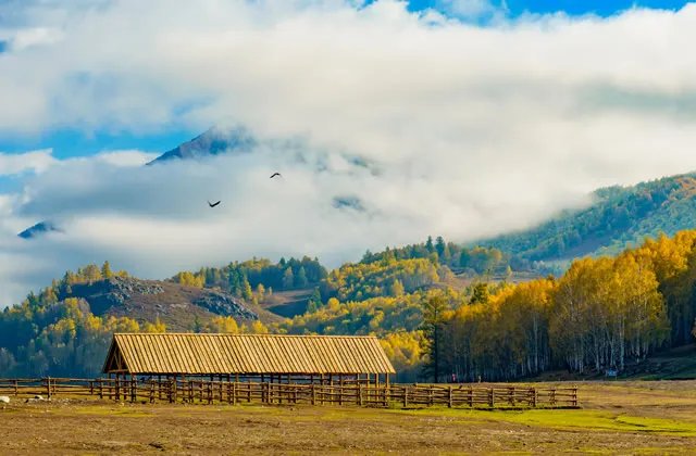 描写植物的现代诗有哪些 关于植物的现代诗大全