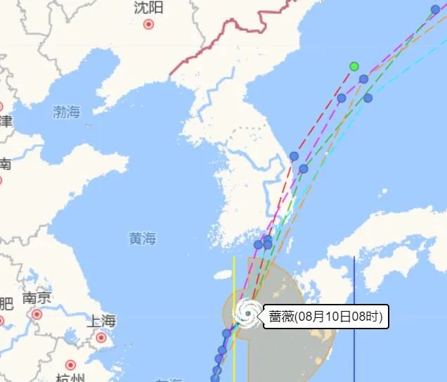 台风蔷薇2020最新消息 第5号台风蔷薇会影响东北吗