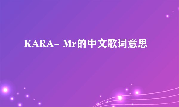 KARA- Mr的中文歌词意思
