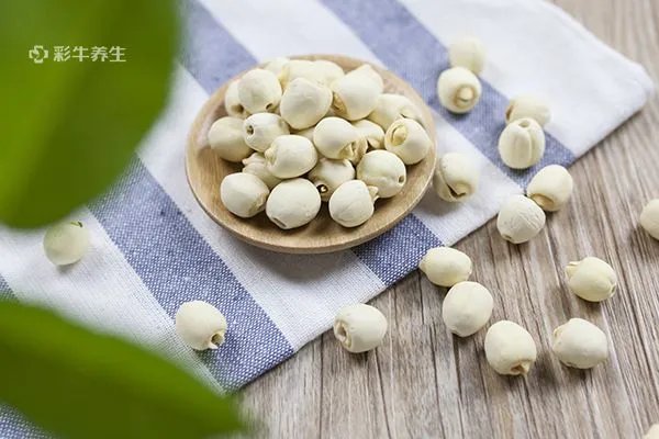 今年什么时候入伏是哪一天