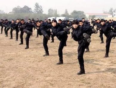 女子特警队的剧集评价