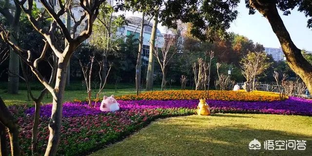 广州流花湖公园好玩嘛？