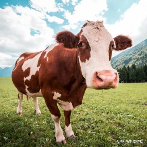 请问我长的好看但找不到男朋友是怎么回事？