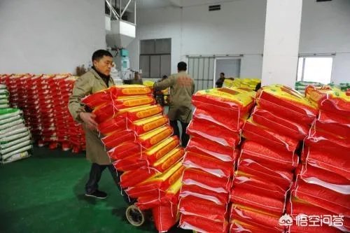 现在开个大米加工厂还有前景吗？