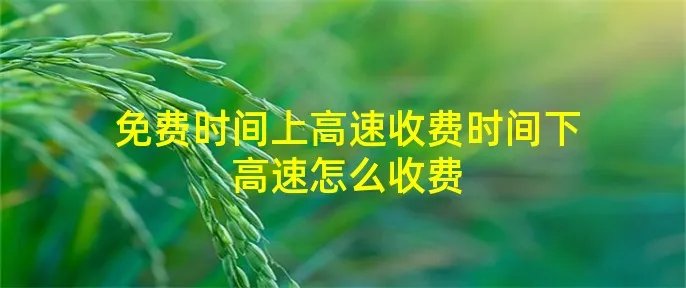 免费时间上高速收费时间下高速怎么收费