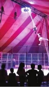 14岁女孩表演杂技不慎高空坠落是真的吗？