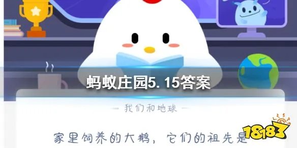 提问！家里饲养的大鹅 它们的祖先是什么你造吗？