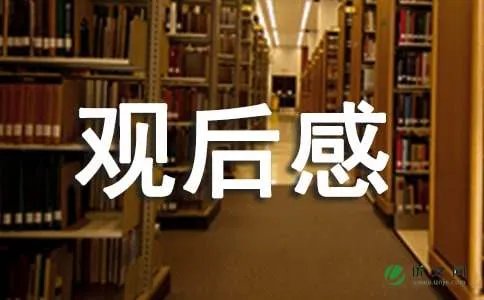 《忠犬八公的故事》观后感