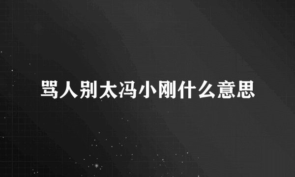 骂人别太冯小刚什么意思